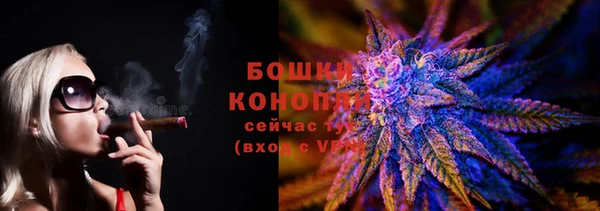 PSILOCYBIN Медвежьегорск