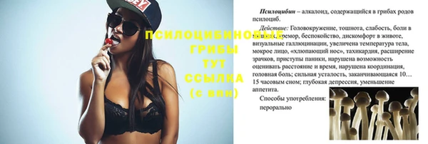 Альфа ПВП Магадан
