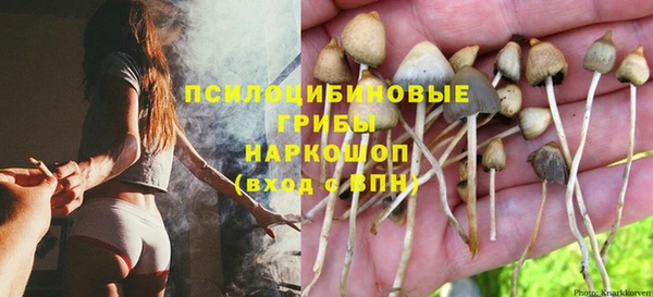ешки Мегион
