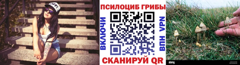 купить  сайты  Новопавловск  Псилоцибиновые грибы Cubensis 