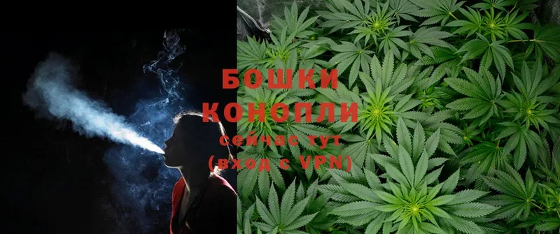 Бошки марихуана White Widow  Новопавловск 